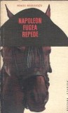 Napoleon fugea repede - Neagu Radulescu