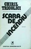 Chiril Tricolici - Scara de incendiu