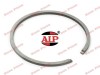 Segment 57.5mm x 1.5mm AIP