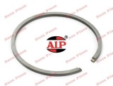 Segment 54.5mm x 1.5mm AIP