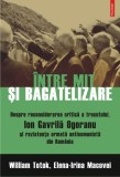Cartea "Intre Mit si Bagatelizare" - Elena-Irina Macovei, William Totok, Editura Polirom, Format Paperback Brosat, Non-fictiune