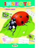 Mapa Insecte + fiinte mici