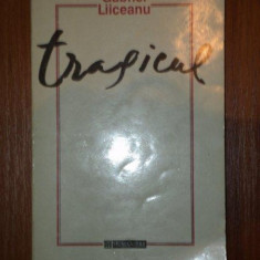 TRAGICUL O FENOMENOLOGIE A LIMITEI SI DEPASIRII-GABRIEL LIICEANU