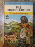 File din cartea naturii - ION AGARBICEANU