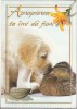 Bnk cp Felicitare - Apropierea ta imi da fiori ! - catel - ratusca