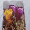 Carte postala floare