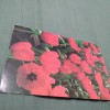 CARTE POSTALA FELICITARE CIRCULATA