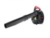 Suflanta de frunze pe benzina, 3.5 cp, Red Technic RTODL0057