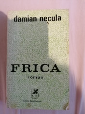 Damian Necula - Frica foto