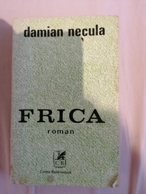Damian Necula - Frica foto