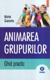 Animarea grupurilor - Michel Quaranta, Editura Polirom, 2009, 195 pagini, brosat, 13x20 cm