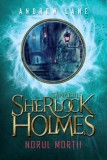 Tanarul Sherlock Holmes. Norul Mortii