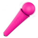 Vibrator Wand Moly