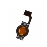 Home Key Flex iPhone 5