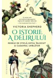 O istorie a delirului