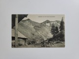 Cartofilie Carte Postala - S.K.V. Cabana Negoiu. Foto E. Fischer, Sibiu, Siebenburgische Karpathen