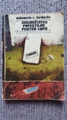 Singuratatea povestilor pentru copii, Antoaneta Iordache, Roman, 1982, 234 pag