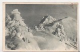 bnk cp Postavarul - Creasta Cocosului - circulata 1955 - Libraria noastra