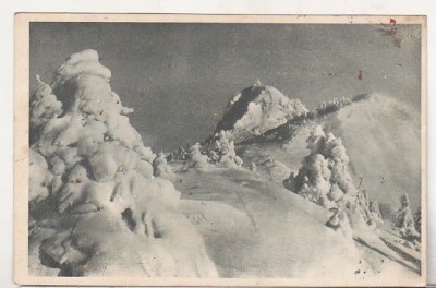 bnk cp Postavarul - Creasta Cocosului - circulata 1955 - Libraria noastra foto