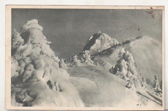 bnk cp Postavarul - Creasta Cocosului - circulata 1955 - Libraria noastra