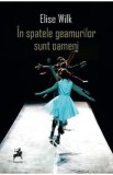 In spatele geamurilor sunt oameni - Elise Wilk