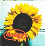 Dodgy - Good Enough CD Single A&amp;M Records Stare Foarte Buna