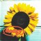 Dodgy - Good Enough, CD