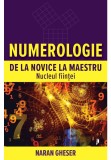 Cumpara ieftin Numerologie de la novice la maestru. Nucleul fiintei