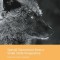 Special Operations from a Small State Perspective: Future Security Challenges