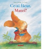 Ce ai facut, Matei? - Brigitte Weninger, Eve Tharlet