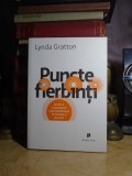 LYNDA GRATTON - PUNCTE FIERBINTI , PUBLICA , 2010 *