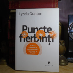 LYNDA GRATTON - PUNCTE FIERBINTI , PUBLICA , 2010 *