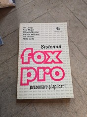 Sistemul FoxPro - Ion Lungu, Nely Musat, Mihaela Nicolae, Manole Velicanu, Ion Teodor, Attila Barta