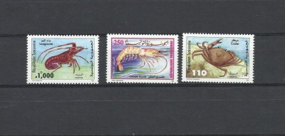 TUNISIA 1998 FAUNA MARINA CRUSTACEE foto