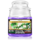THD Italian Luxury Chloe lum&acirc;nare parfumată 100 g