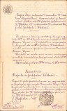 A216 Copie legalizată de epocă, drept de ocupare a funcției de inginer al județului Vaslui, 1877