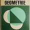 Geometrie &ndash; Edwin E. Moise, Floyd L. Downs Jr.