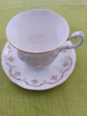 Portelan englezesc Bone China colectia Royal Osborne, frumoasa ceasca de cafea