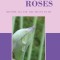 Raining Roses: Become All You Are Meant to Be