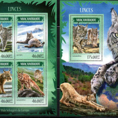 MOZAMBIC 2014, Fauna, Feline, serie neuzată, MNH