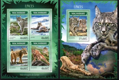 MOZAMBIC 2014, Fauna, Feline, serie neuzată, MNH foto