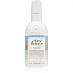 Waterclouds Volume Shampoo șampon cu efect de volum pentru părul fin 250 ml