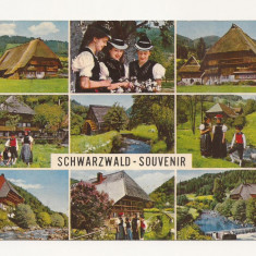 SG4 - Carte Postala - Germania Schwarzwald , Circulata 1974