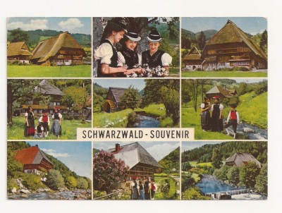 SG4 - Carte Postala - Germania Schwarzwald , Circulata 1974 foto