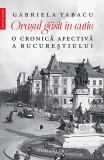 Orașul găsit &icirc;n cutie - Paperback brosat - Gabriela Tabacu - Humanitas