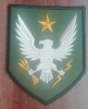 C7 15 - Ecuson tematica militara - razboi electronic - piese de colectie!