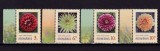 Cumpara ieftin ✅ RO 2022 LP 2390 " Flori de gradina - Dalii " serie cu tabs din aceeasi pozitie ( poate diferi - tabs din minicoli ) , MNH