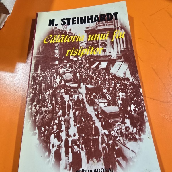 N. Steinhardt - Calatoria Unui Fiu Risipitor