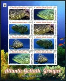 ANTIGUA 2016 WWF FAUNA MARINA PESTI