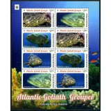 ANTIGUA 2016 WWF FAUNA MARINA PESTI